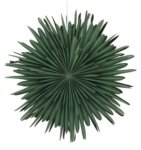 Estrella de Adviento 'Svedala' 46cm - Verde