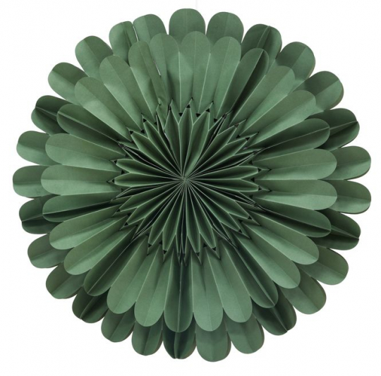 Estrella de Adviento 'Mora' - Verde