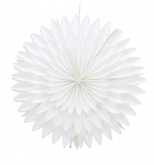 Estrella de Navidad 'Örnsköldsvik' - Blanca