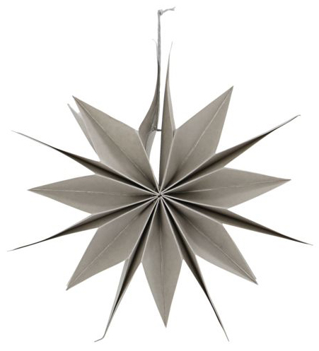 Julstjärna 'Capella' - Perla S