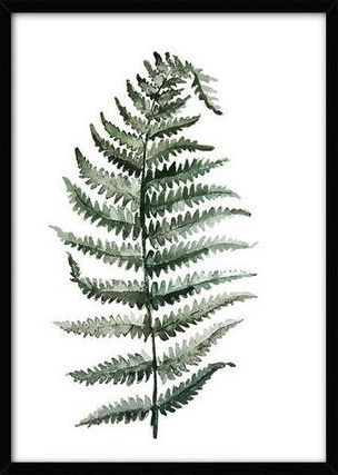 Póster de lienzo L - Planta tropical 10