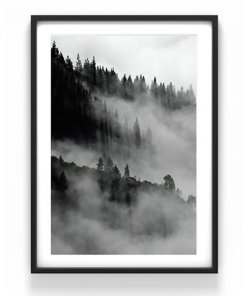 Póster - 'Paisaje en niebla'