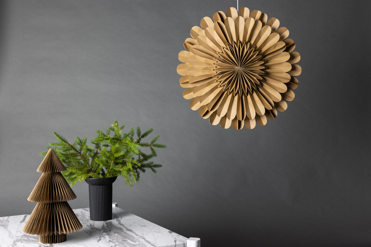 Estrella de Adviento 'Mora' - Marrón