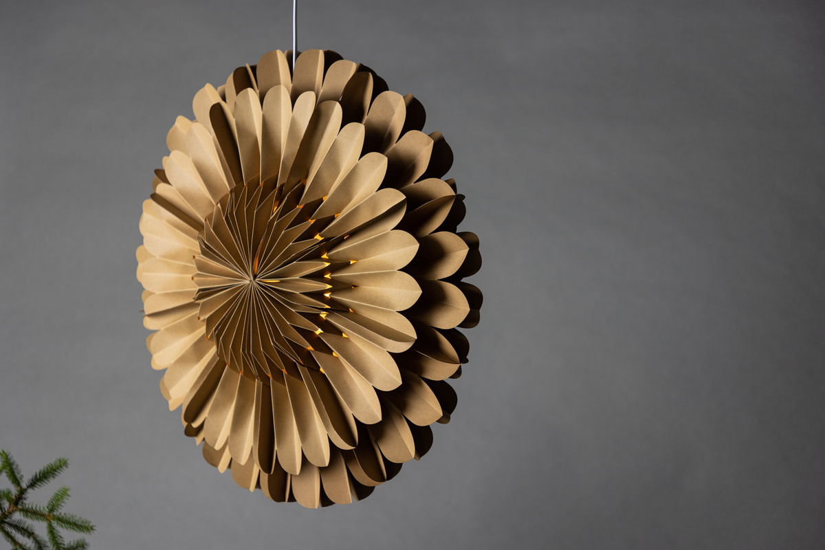 Estrella de Adviento 'Mora' - Marrón