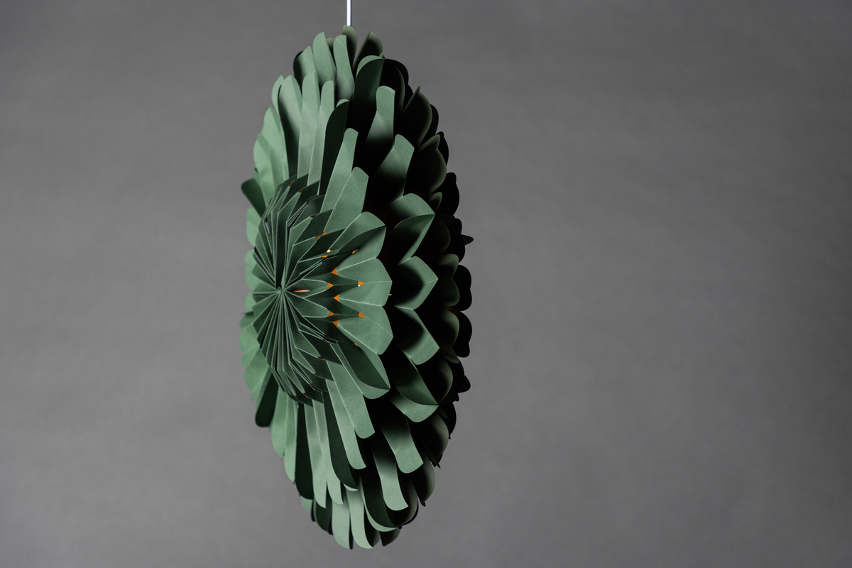 Estrella de Adviento 'Mora' - Verde