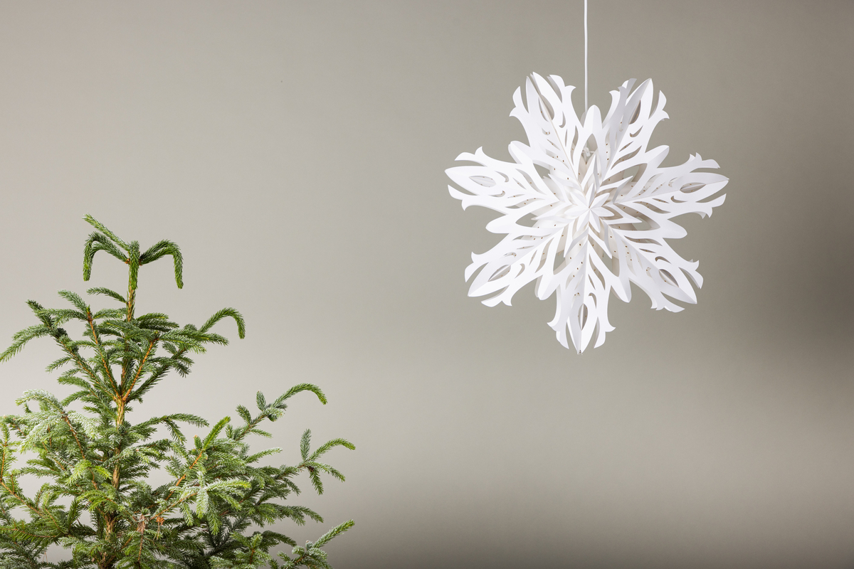 Estrella de Adviento 'Kungälv' - Blanca