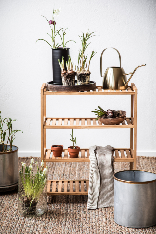 Zapatero 'Lone' 4 - Natural