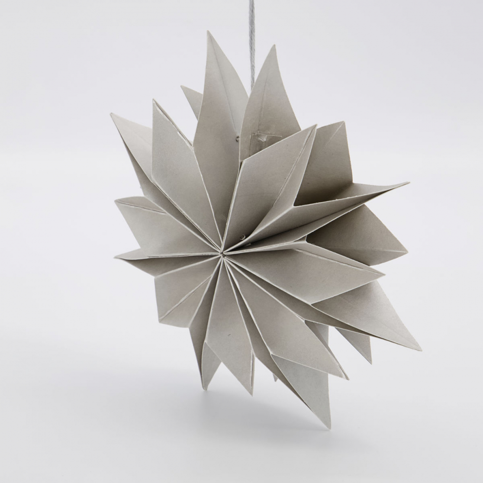 Julstjärna 'Capella' - Perla