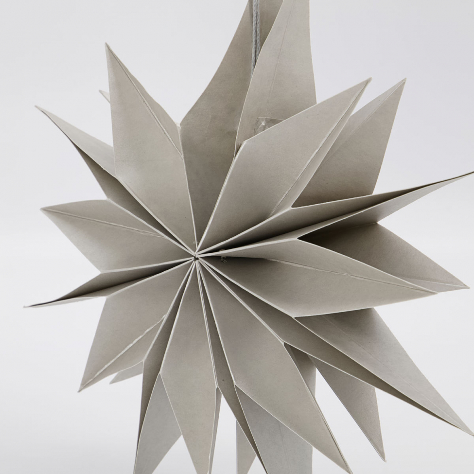 Julstjärna 'Capella' - Perla S