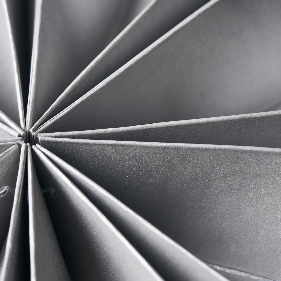 Julstjärna 'Capella' - Perla S