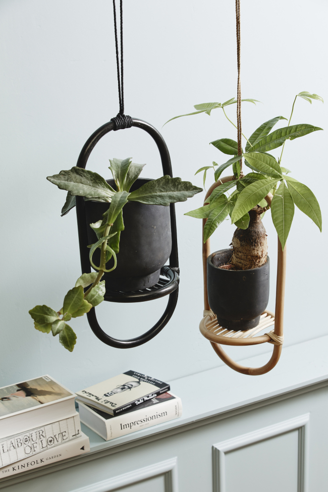 Ampel 'ELBA' - Natur