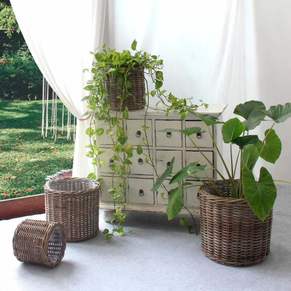 Cestas 'Bogor' 4-pack - Natural