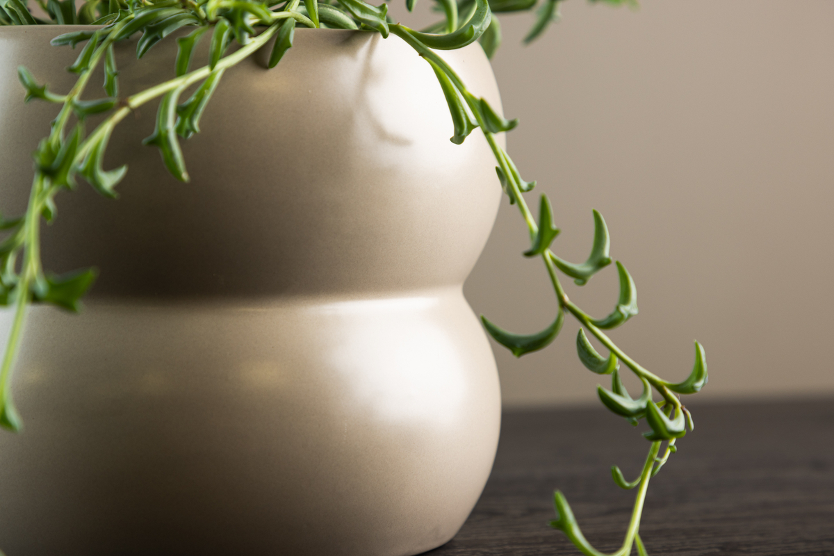 Maceta 'Bourges' - Beige