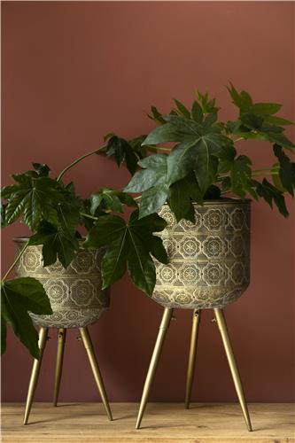 Maceta 'Botanique' M - Latón