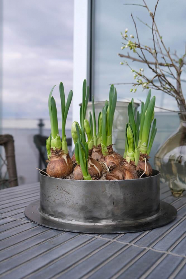 Maceta 'Fred' L - Hierro