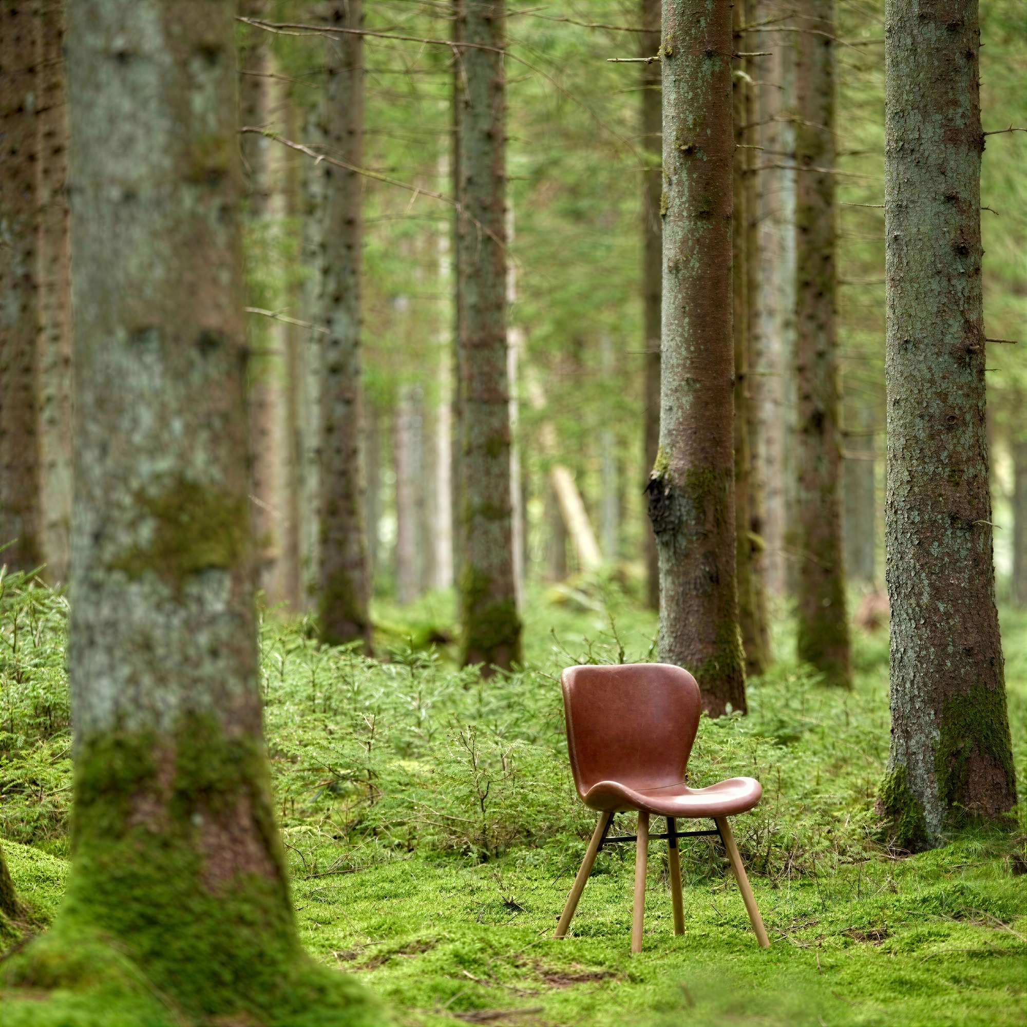 Silla 'B&ouml;da' - Natural/Marr&oacute;n