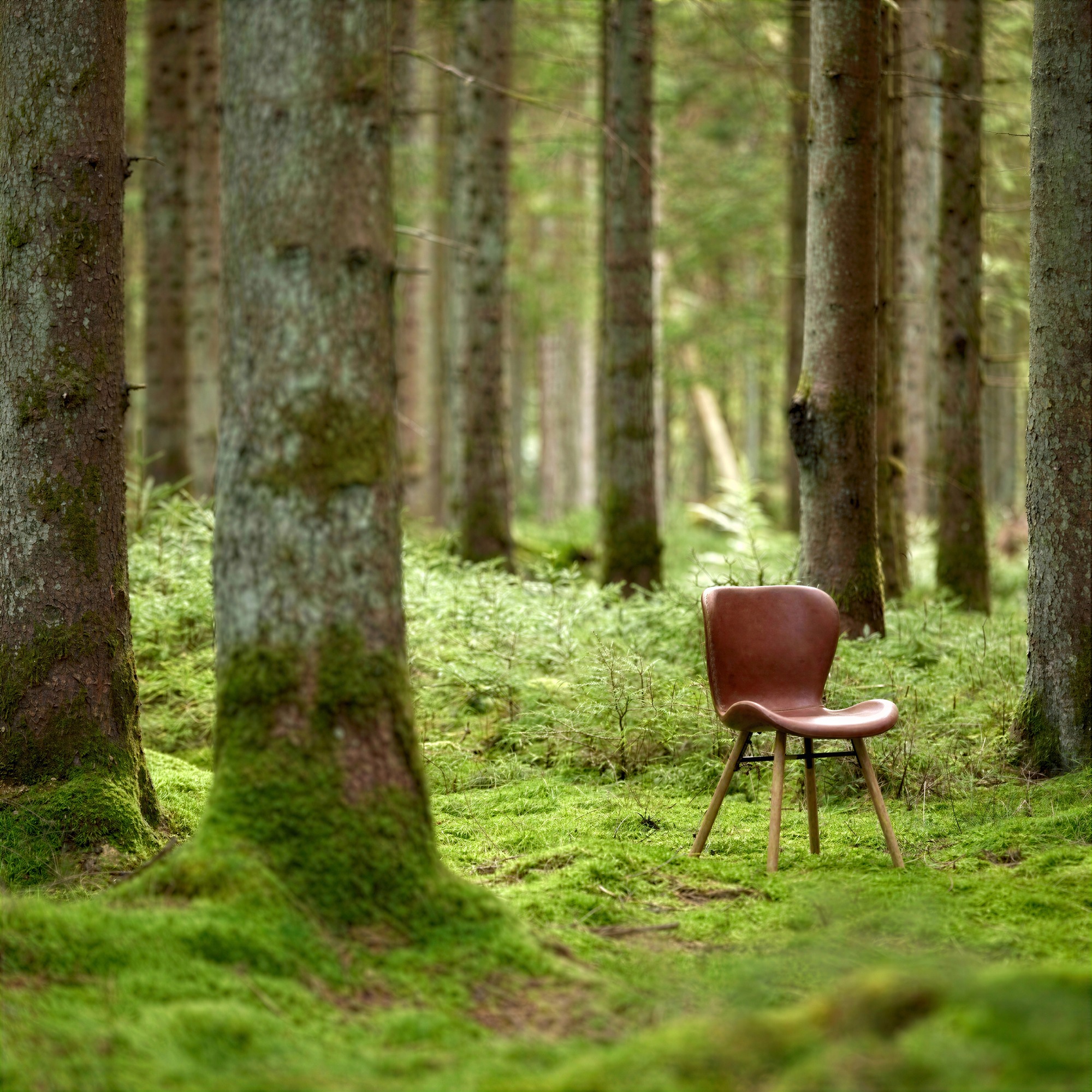 Silla 'B&ouml;da' - Natural/Marr&oacute;n