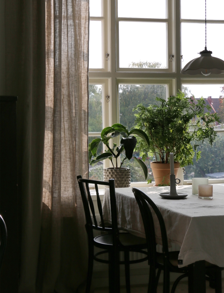 Cortina 'Sunshine' 140x250 - Natural