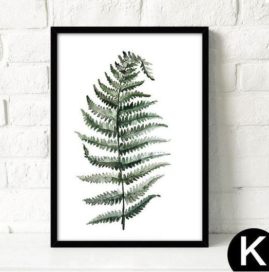 Póster de lienzo L - Planta tropical 10