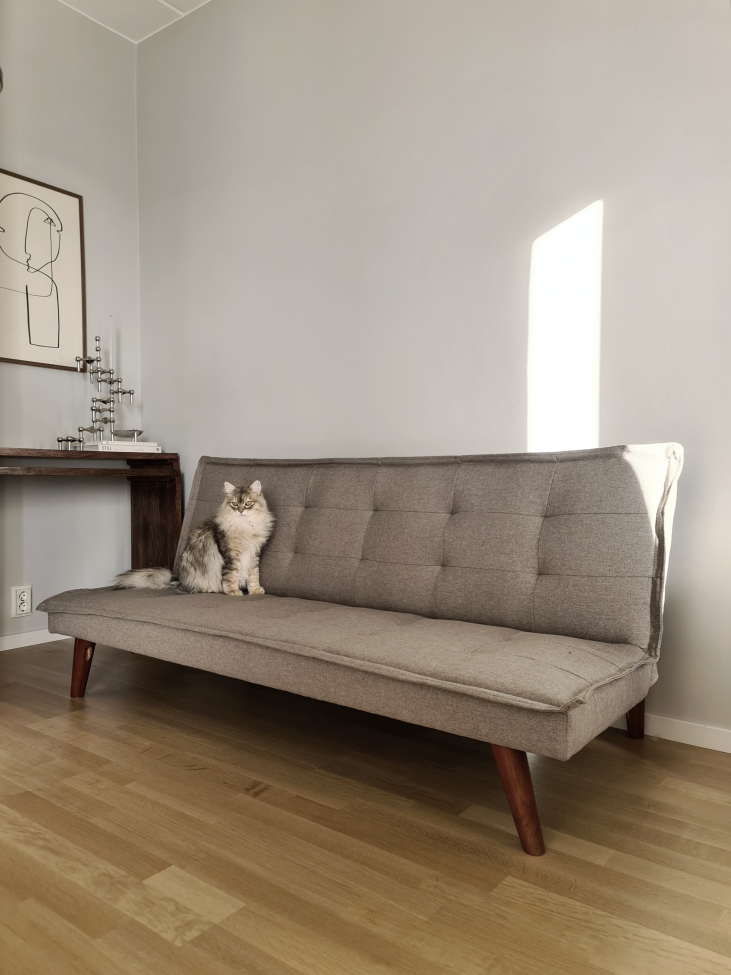 Sofá cama 'Eucalipto' - Beige