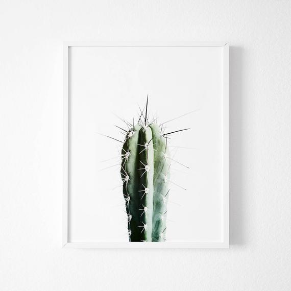 Póster - 'Cactus'