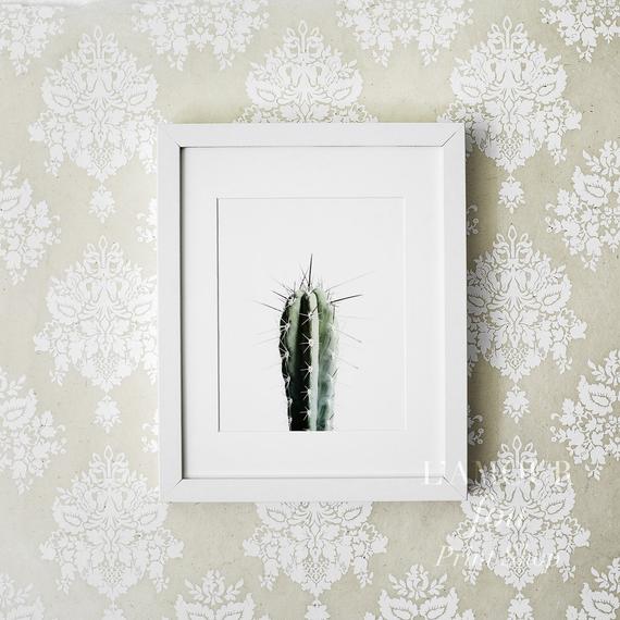 Póster - 'Cactus'