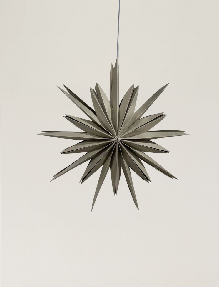 Estrella de Adviento 'Fiona' 65 - Gris