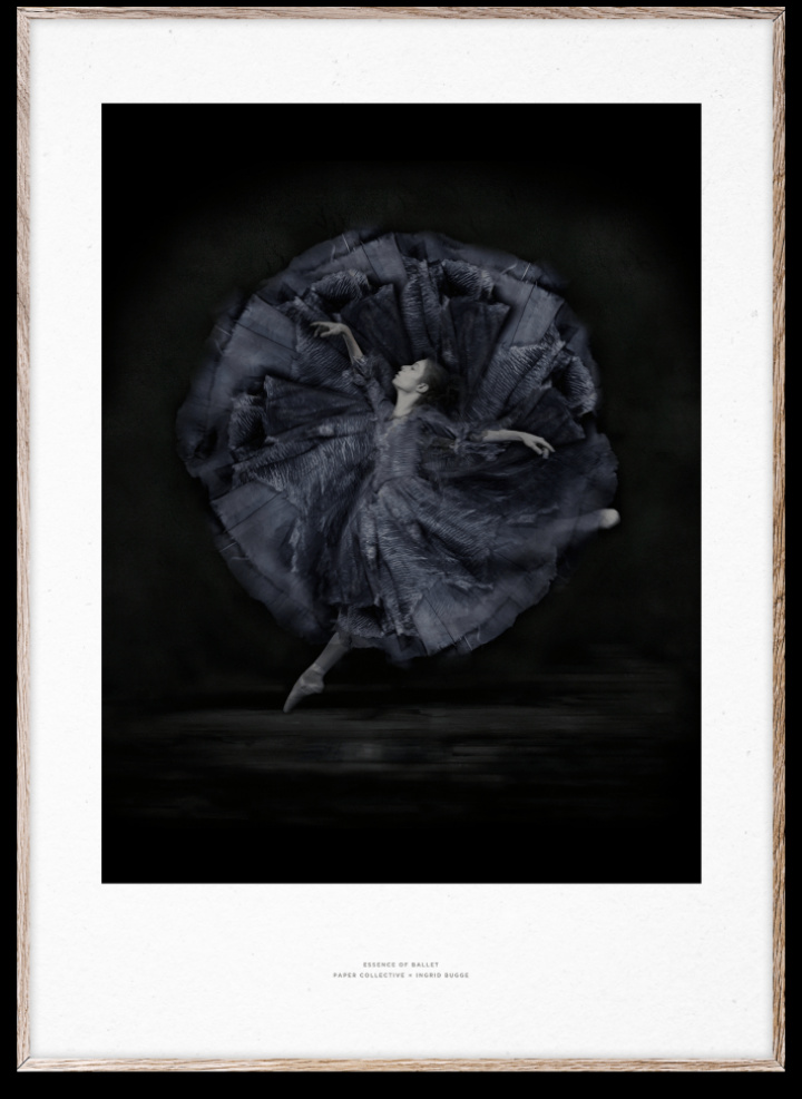 Póster \'Essence of Ballet 06\' 50x70 - Negro/Blanco en el grupo Decoración / Decoración / Cuadros y pósters con Reforma (10119)