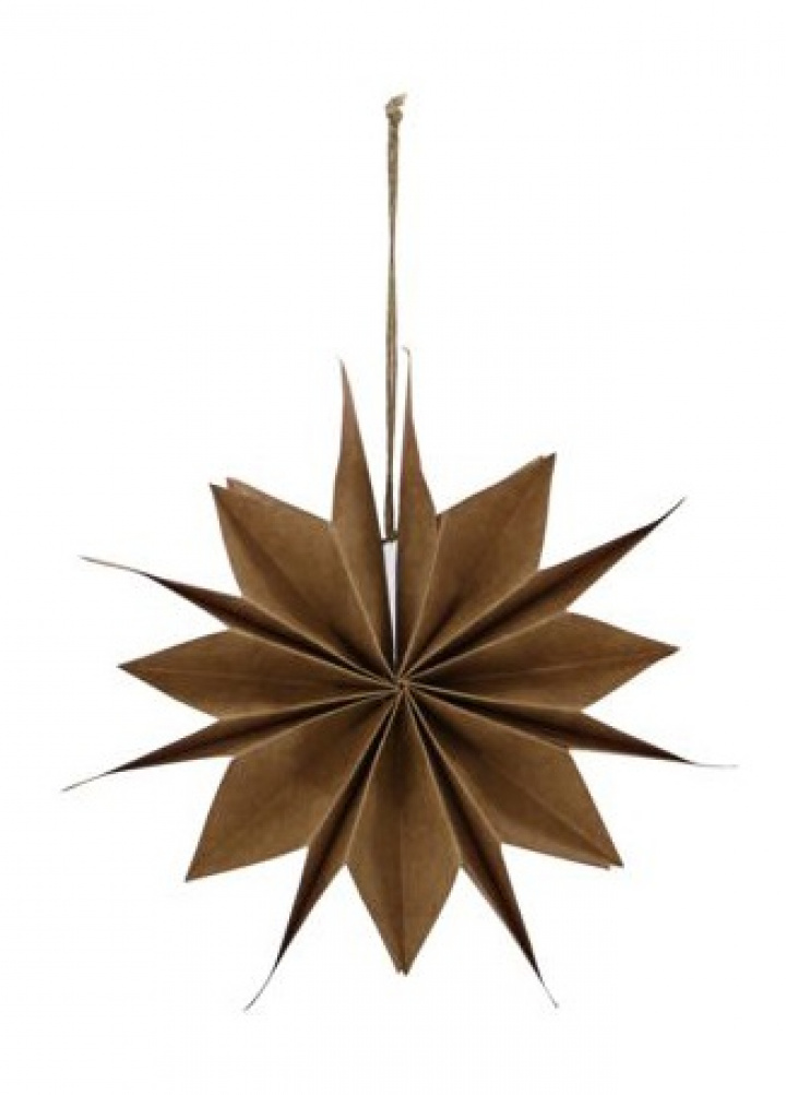 Julstjärna \'Capella\' S - Naturaleza en el grupo Decoración / Decoración / Decoraciones navideñas con Reforma (206120802)