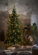 Árbol de Navidad \'Larvik Belysning\' - Verde