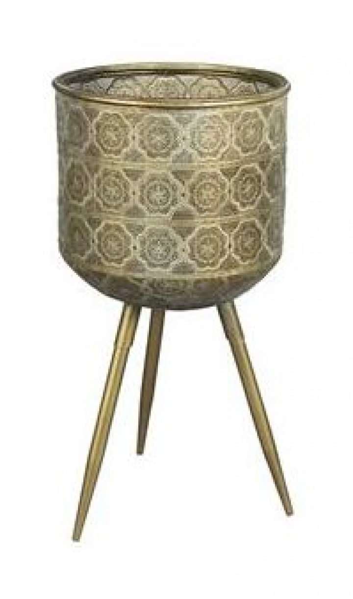 Maceta \'Botanique\' L - Latón en el grupo Decoración / Decoración / Macetas con Reforma (7900023)