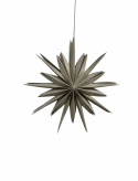 Estrella de Adviento \'Fiona\' 65 - Gris