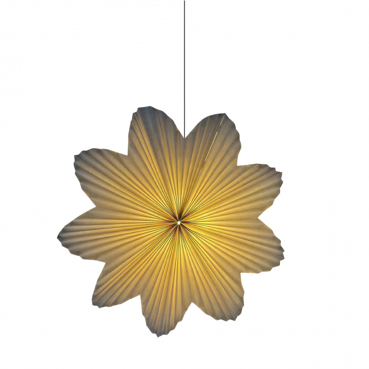 Estrella de Adviento \'Daisy\' 60cm - Blanco en el grupo Iluminación / Lámparas / Iluminación navideña con Reforma (WW-advent-star-white)