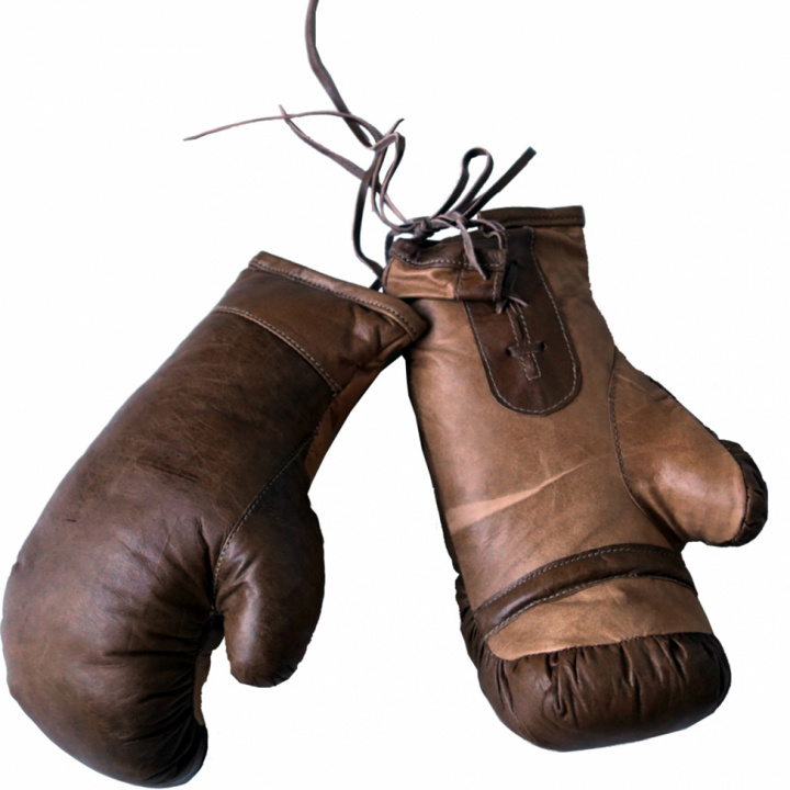 Guantes de boxeo Vintage - Cuero en el grupo Decoración / Decoración / Otra decoración con Reforma (ma1207)